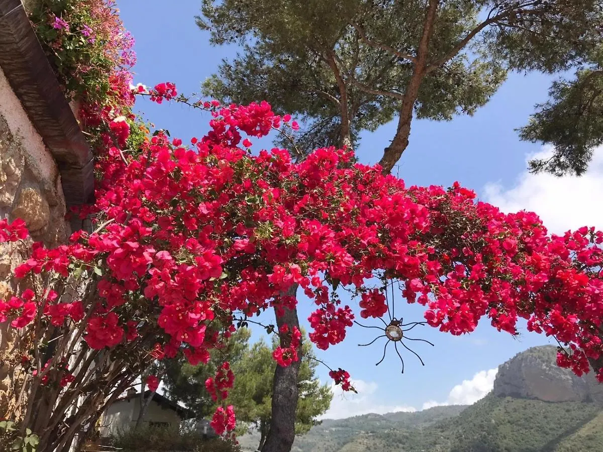 Villaggio Turistico Da Tonino Seglia San Bernardo Aparthotel